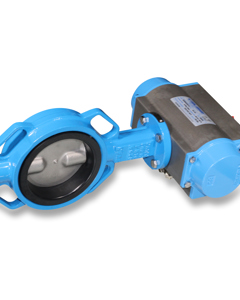 Butterfly valve with part-turn valve & one-way restrictor